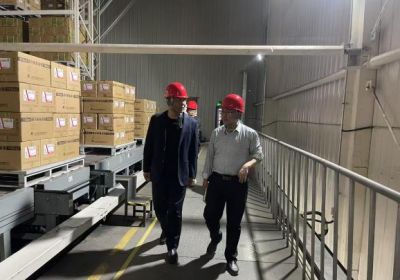 區管委會主任蔣福森赴我公司調研安全生產工作